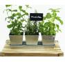 tin herb pot galvanized by42 1 wholesale metal containers pails pots rectangle