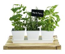 tin herb pot white by42 1w wholesale metal containers pails pots rect