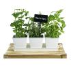 tin herb pot white by42 1w wholesale metal containers pails pots rectangle