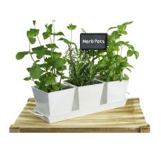 tin herb pot white by42 1w wholesale metal containers pails pots rectangle