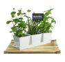 tin herb pot white by42 1w wholesale metal containers pails pots rectangle