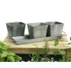 vintage herb container by42 1vin wholesale metal containers pails pots rect sq