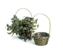 6  bamboo utility shop stained so576 1s wholesale basket containers handled baskets