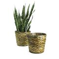 rattan pot cover 10  12  round pr10 1s