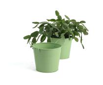 5  tin pot fern green by03 1fg wholesale metal containers pails
