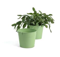 5  tin pot fern green by03 1fg wholesale metal containers pails