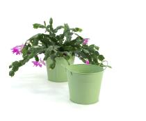 65  tin pot fern green by08 1fg wholesale metal containers pails pots