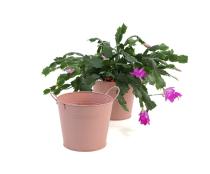 65  tin pot persimmon color by08 1pp wholesale metal containers pails pots