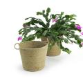jute pot cover 6  pj10 1 wholesale basket containers
