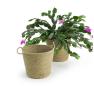 jute pot cover 6  pj10 1 wholesale basket containers