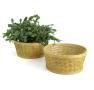 woodchip round bowl honey color extra large bd706 1xl handles