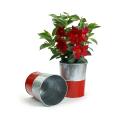 6  galvanized bucket tall ribbedred base by127 1rd wholesale pot covers
