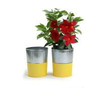 6  galvanized bucket tall ribbedyellow base by127 1gy wholesale pot covers