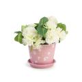 6  tin pot saucer light pink embossed floral design by206 1fpk