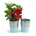 6  galvanized bucket tall ribbedblue base by127 1lb wholesale pot covers