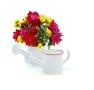 mini metal sprinkling white yy12 1w wholesale containers pails pots