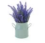 metal milk 45  farm blue yy07 1bl wholesale containers french