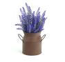 metal milk 45  rust yy07 1rst wholesale containers french market