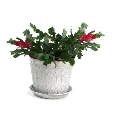 8  tin pot saucer antique white by208 1w wholesale covers