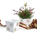 6x6  sq tin pot white snow flakes by66 1sfw wholesale
