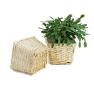 medium willow square top deep tray sq lining single