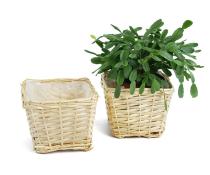 medium willow square top deep tray sq lining single