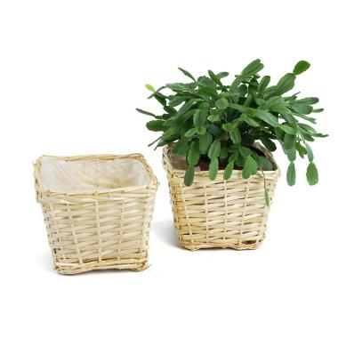 medium willow square top deep tray sq lining single