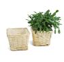 medium willow square top deep tray sq lining single