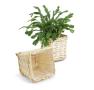 small willow square top deep tray sewn lining pw67 1sm