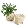 small willow square top deep tray sewn lining pw67 1sm