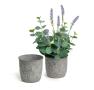 solid iron lathe pot with embossed mandala design antique grey by76 1gry wholesale