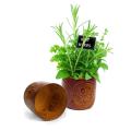 solid iron lathe pot with embossed mandala design rust finish by76 1rst wholesale
