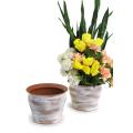 solid spun iron bell shaped terra cotta brushed white finish planter