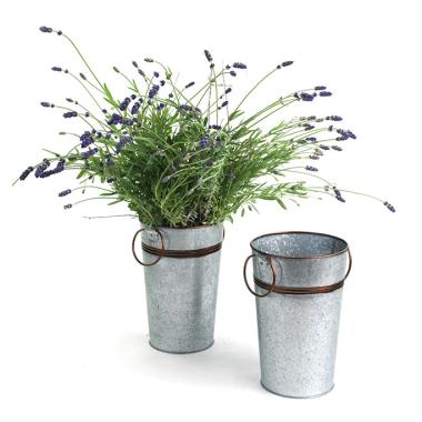 french bucket galvanized rust trim by885 1rst wholesale metal containers