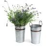 french bucket galvanized rust trim by885 1rst wholesale metal containers