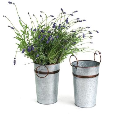 french bucket galvanized rust trim by885 1rst wholesale metal containers