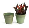 7  solid iron spun planter green 6  pot bn45 1gr