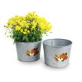 10  galvanized pot embossed harvest by10 1ht wholesale metal containers pails