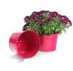10  metal pot berry pink by96 1bp wholesale covers