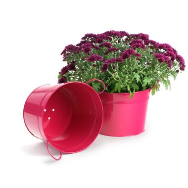 10  metal pot berry pink by96 1bp wholesale covers
