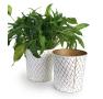 11  metal tall bucket white gold diamond pattern by123 1dpg wholesale