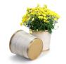 9  metal bucket tall ribbed gold finish by122 1srg wholesale pot covers
