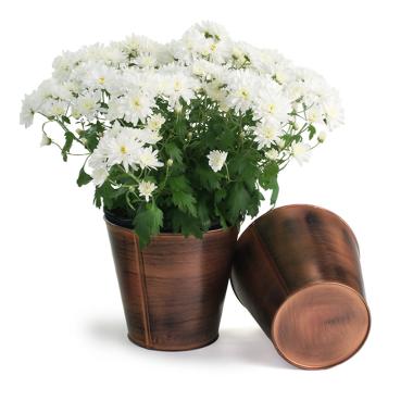 75  tin pot cover antique brown 6  by441 1abr wholesale