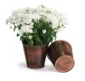 75  tin pot cover antique brown 6  by441 1abr wholesale
