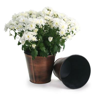 75  tin pot cover antique brown 6  by441 1abr wholesale