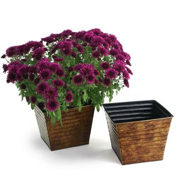 75  ribbed sq tin pot cover brown ty97 1br wholesale