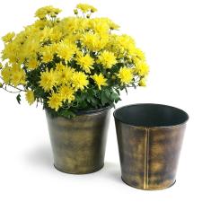 75  tin pot cover brushed brass 6  by441 1brs wholesale