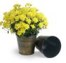 75  tin pot cover brushed brass 6  by441 1brs wholesale