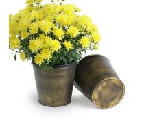 75  tin pot cover brushed brass 6  by441 1brs wholesale