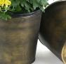75  tin pot cover brushed brass 6  by441 1brs wholesale